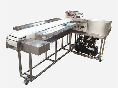 連續(xu)自動(dong)型穿(chuan)串機(ji)